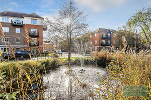 Photo 19- click for photo gallery